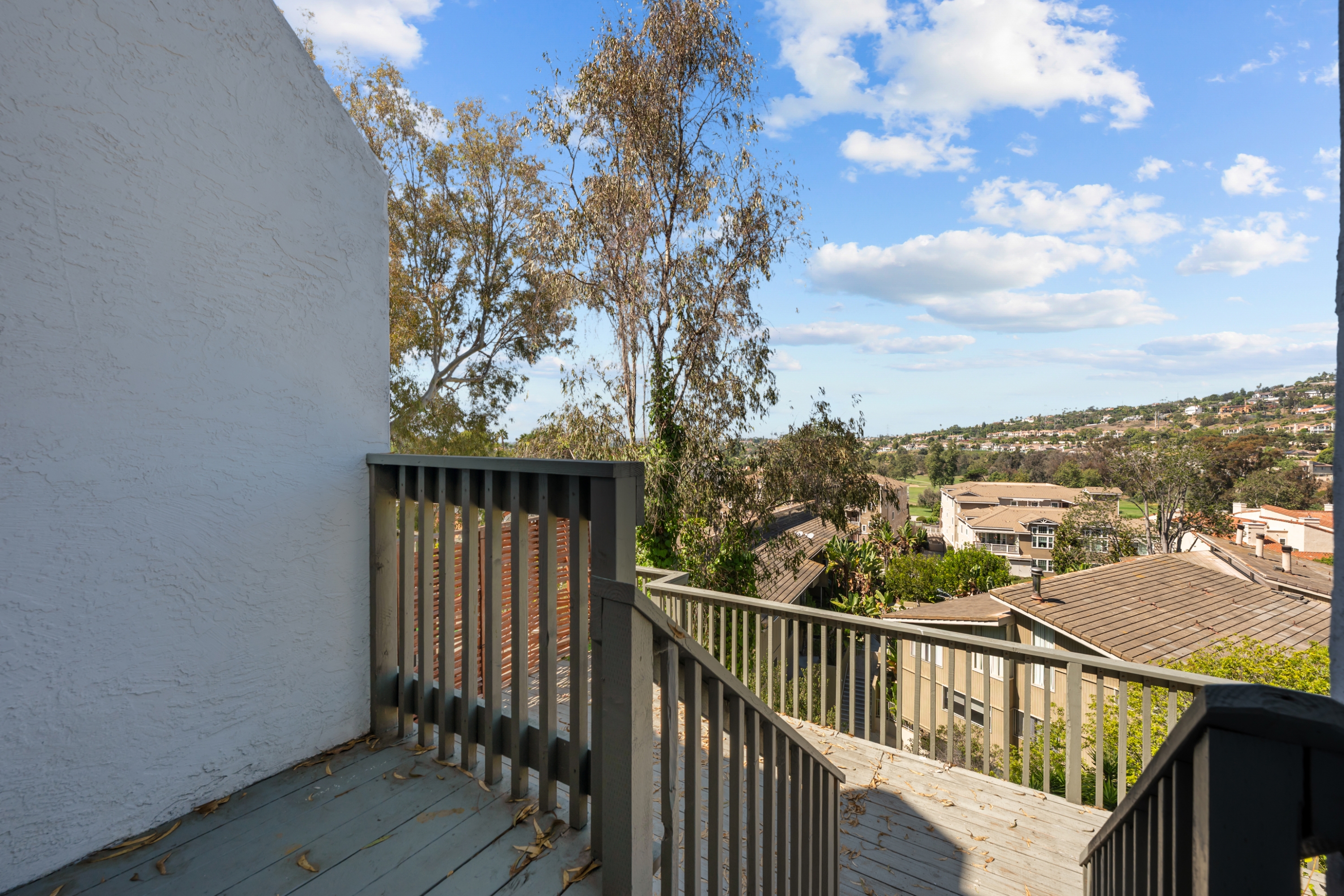 2950 La Costa Avenue - 4